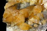 Plate Of Golden, Twinned Calcite Crystals - Morocco #115207-7